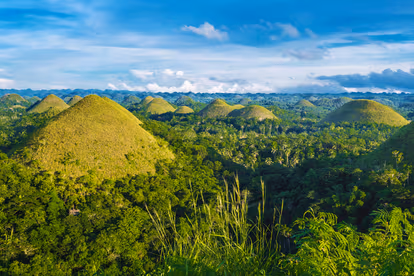 Enjoy The Unusual Chocolate Hills