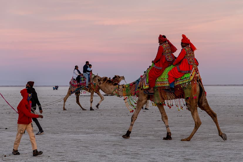 Explore Rann of Kutch