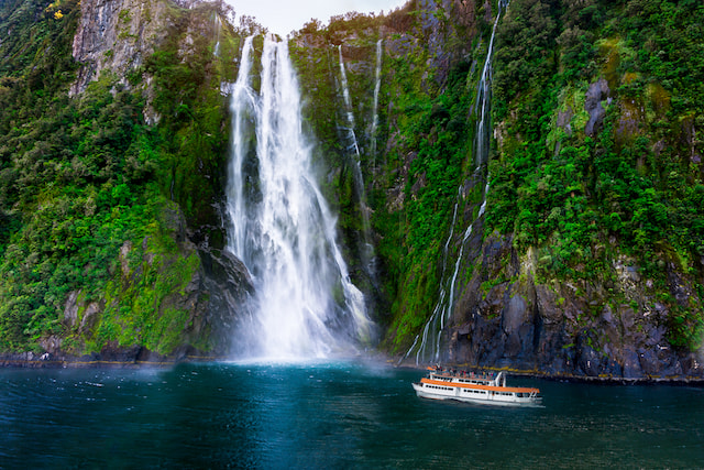 Full Day Milford Sound Cruise