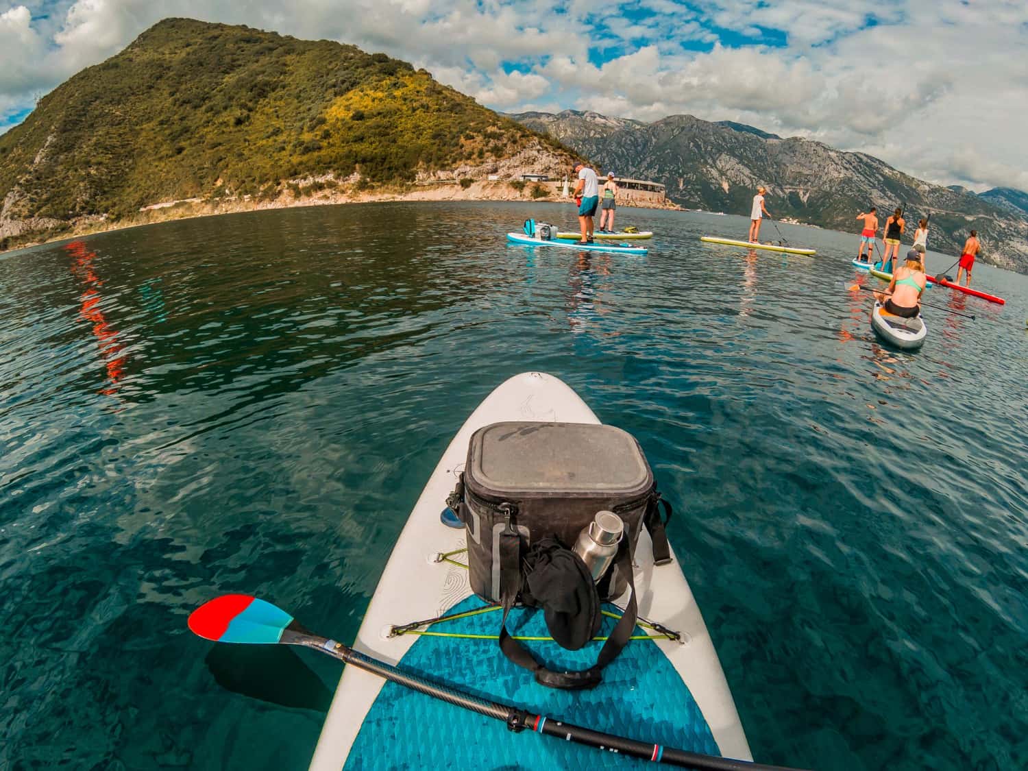 Go Kayaking In The Heart of Cape Town in All of Africa