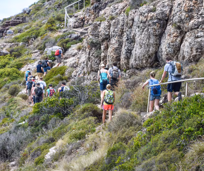 Hike Table Mountain