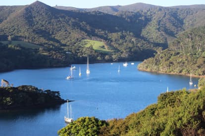 Great Barrier Island