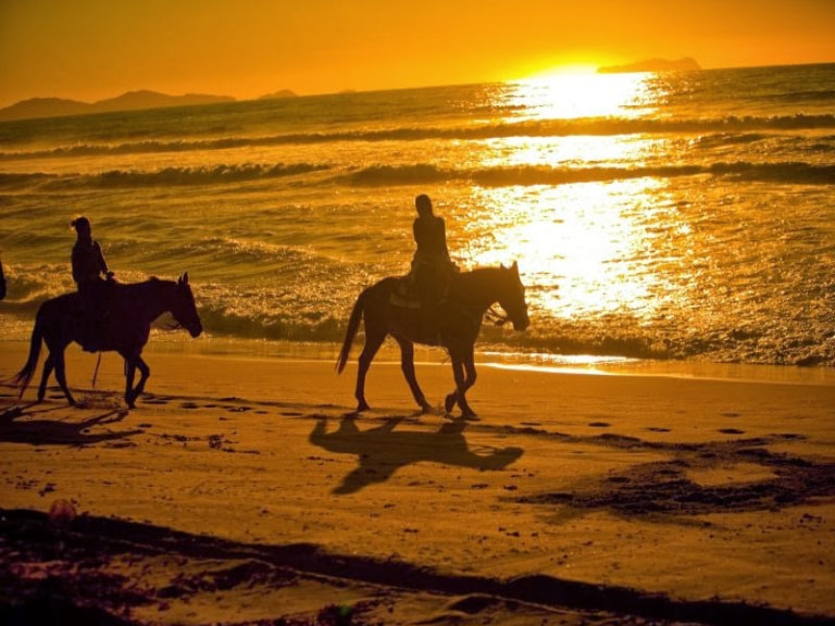 Horse Riding On The Beach - 1