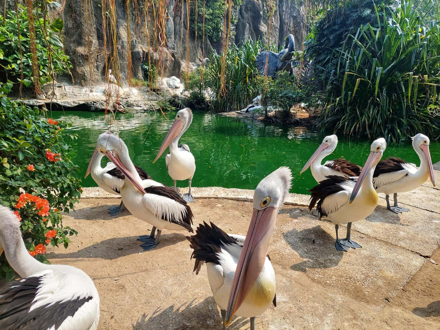 Jurong Bird Park in Singapore - Malaysia