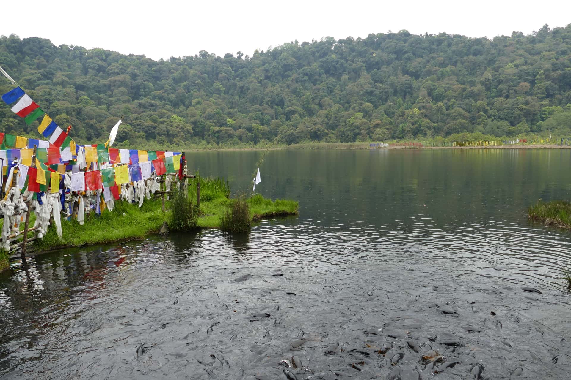 Khecheopalri Lake Pelling in North East