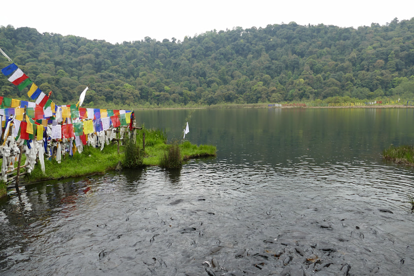 Khecheopalri Lake Pelling
