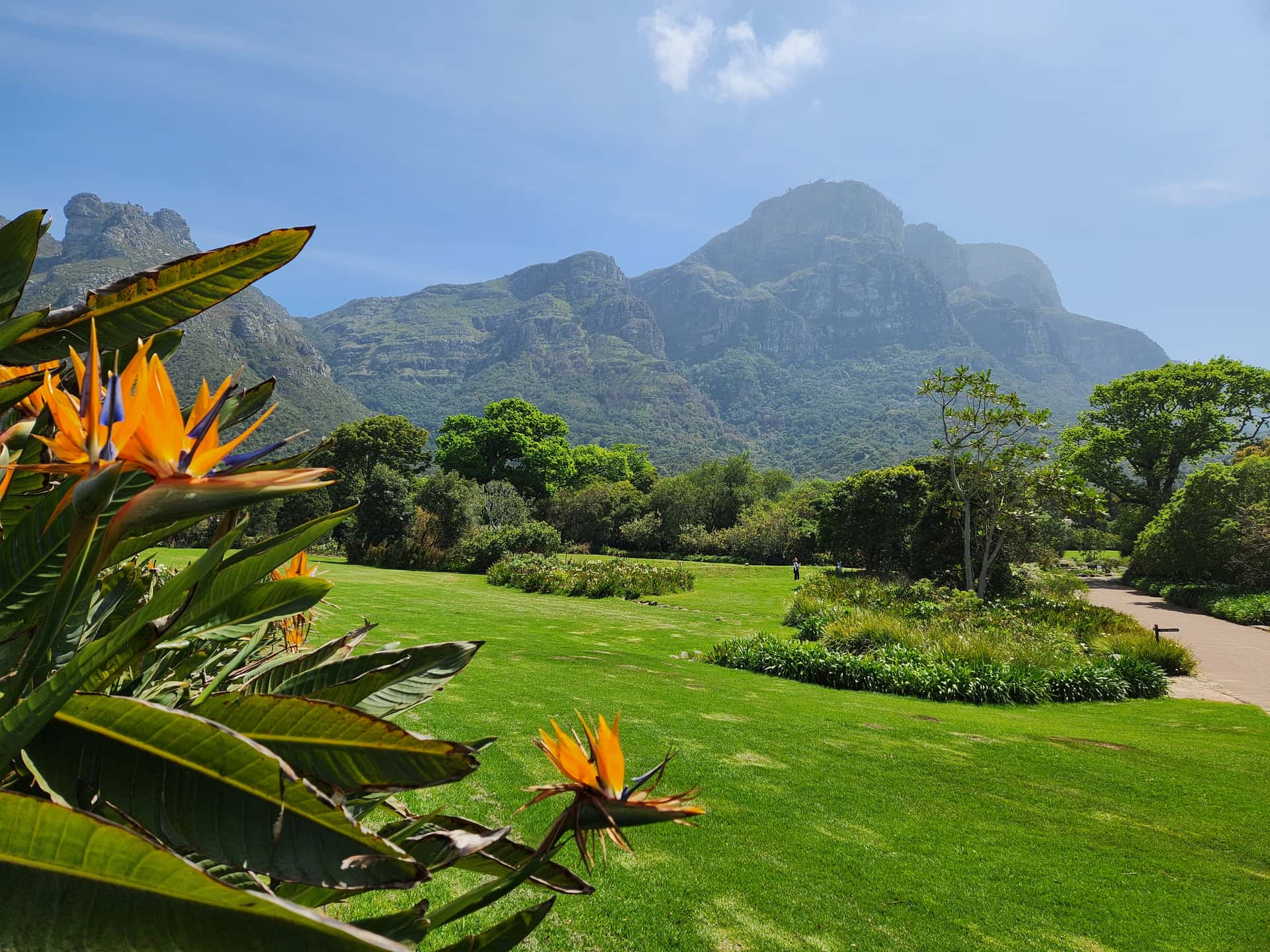 Kirstenbosch Botanical Garden in All of Africa