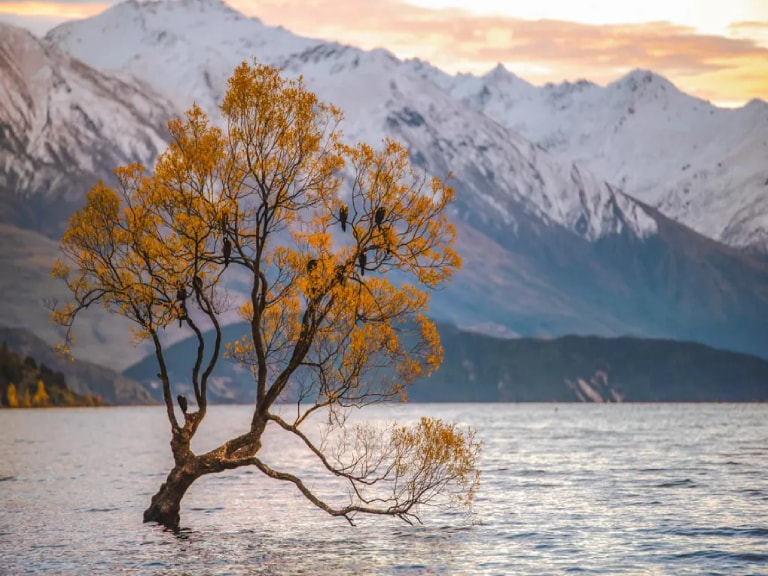 Lake Wakatipu - 1