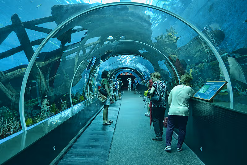 Marine Park S.E.A Aquarium