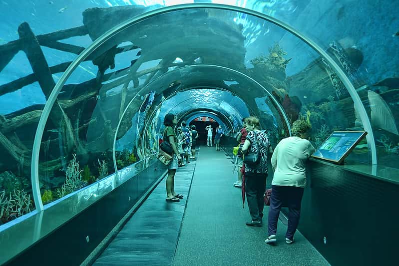Marine Park S.E.A Aquarium in Singapore - Malaysia