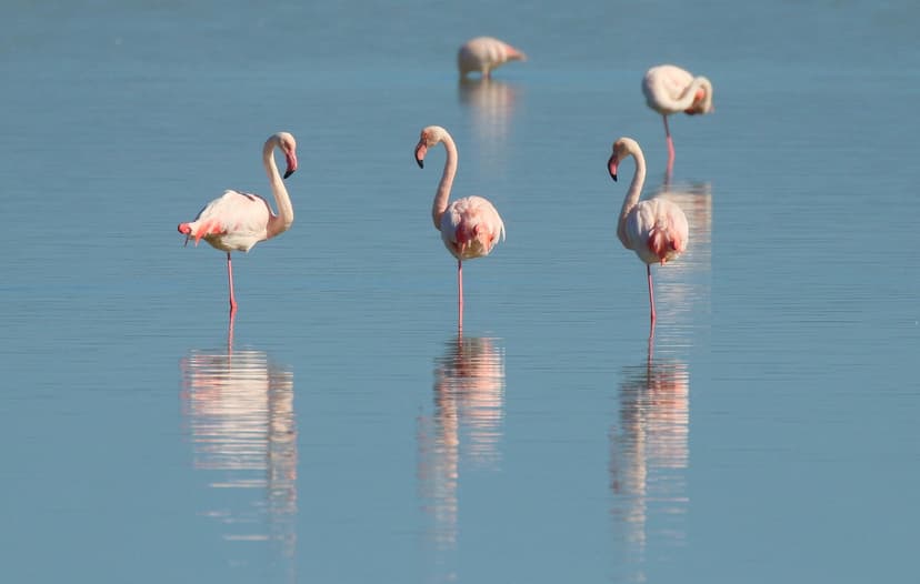 Marvel At The Rift Valley