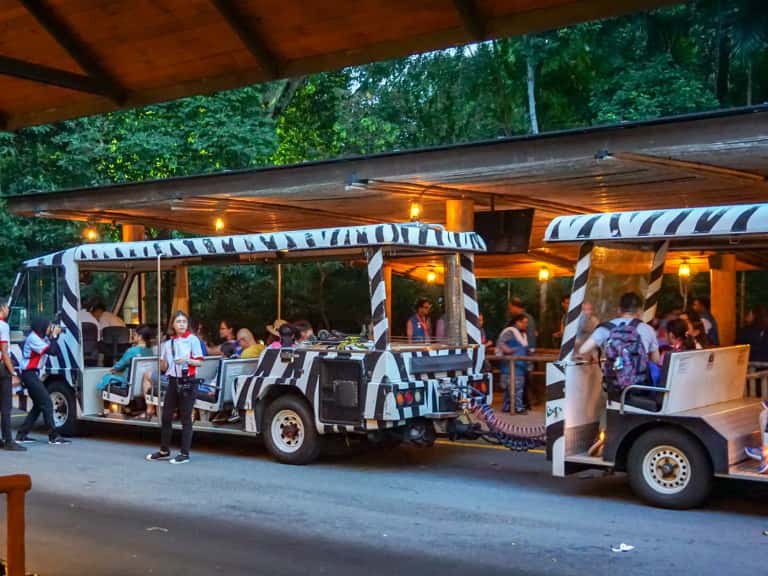 Night Safari in Singapore - Malaysia
