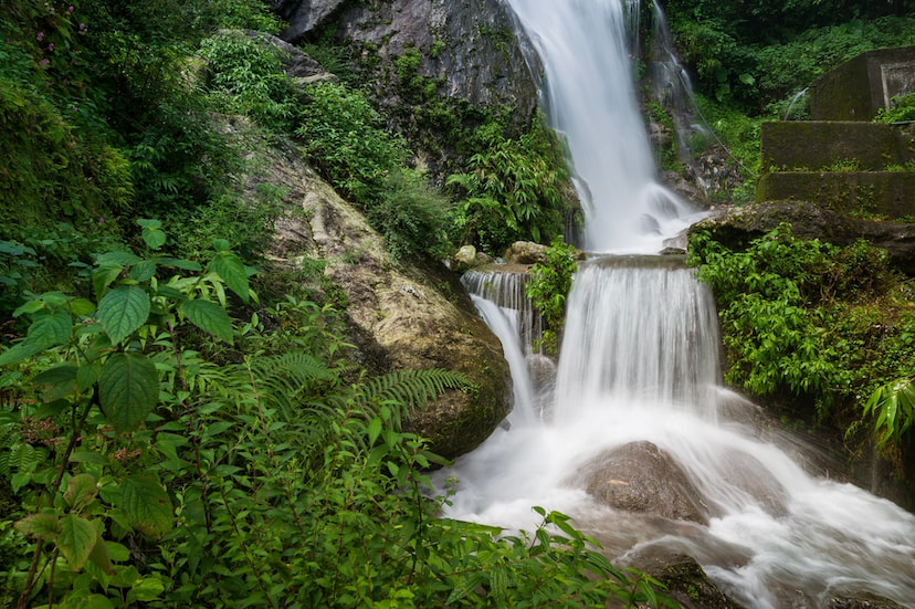 Panch Pulla – Experience The Magic Of Whispering Woods