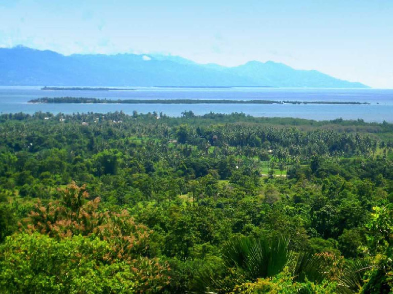 Puerto Princesa City Tour - 1