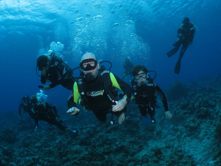 Scuba Dive in Blue Bay Marine Park - 1