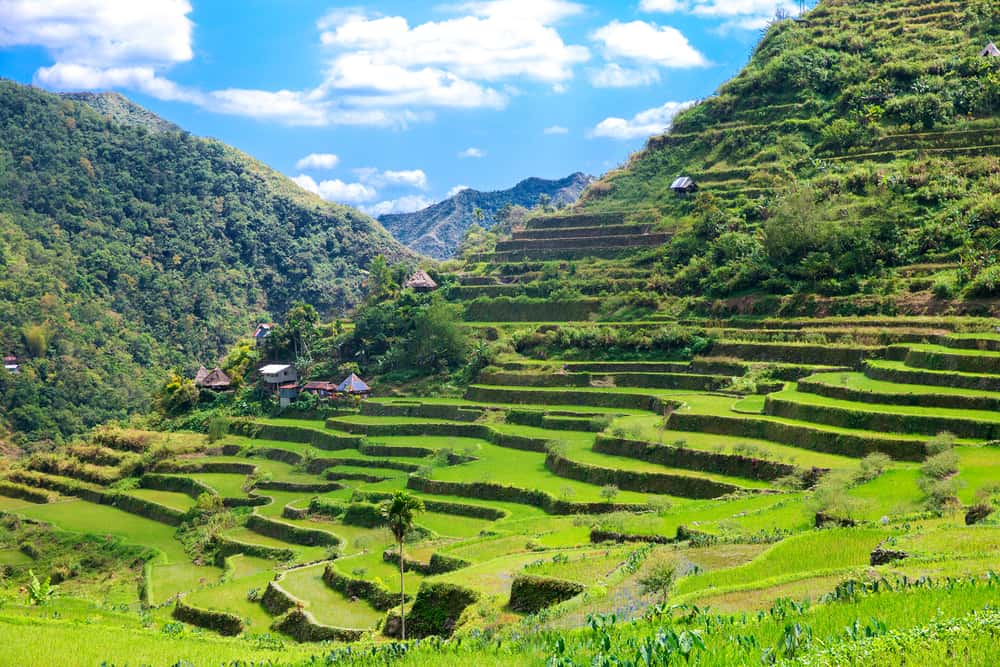 See the Beauty of The Banaue Rice Terraces in Philippines