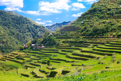 See the Beauty of The Banaue Rice Terraces
