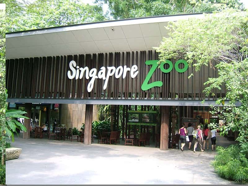 Spend The Day At The Singapore Zoo in Singapore - Malaysia