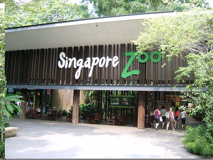 Spend The Day At The Singapore Zoo