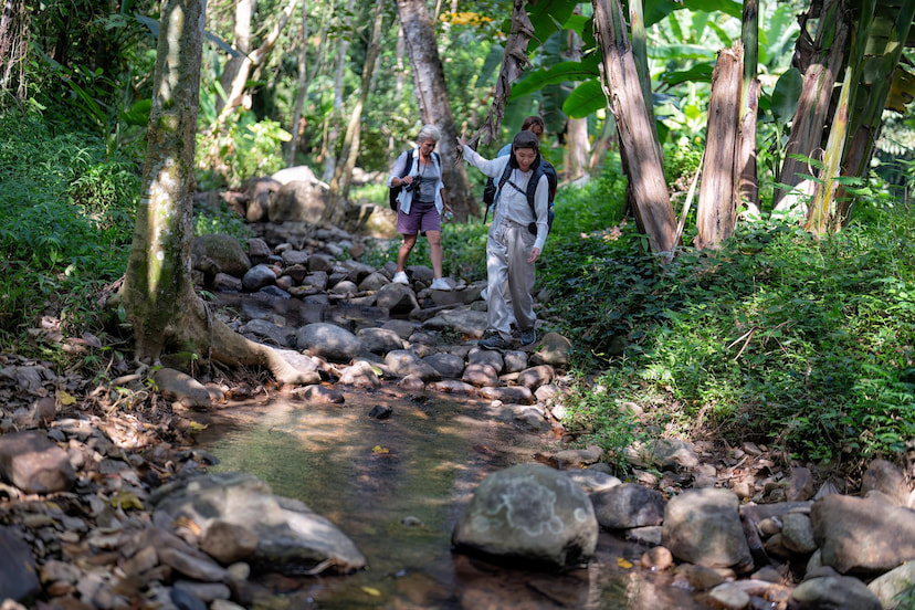 Take Part in Trekking Walking Trail