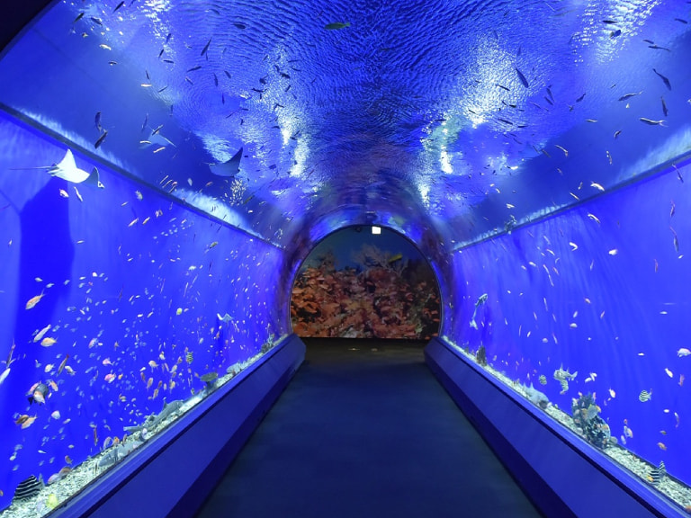 Tempozan Harbor Village - 1