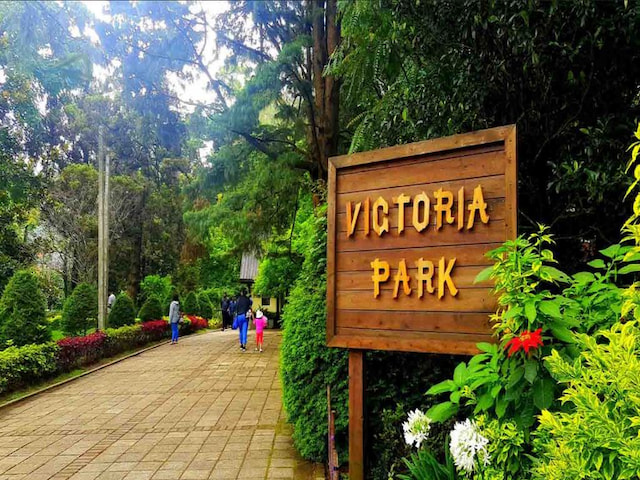 The Victoria Park - 1