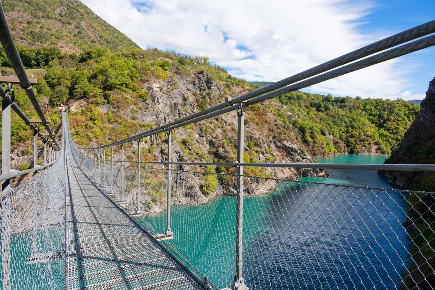 Tsitsikamma National Park with Suspension Bridge Walk in All of Africa