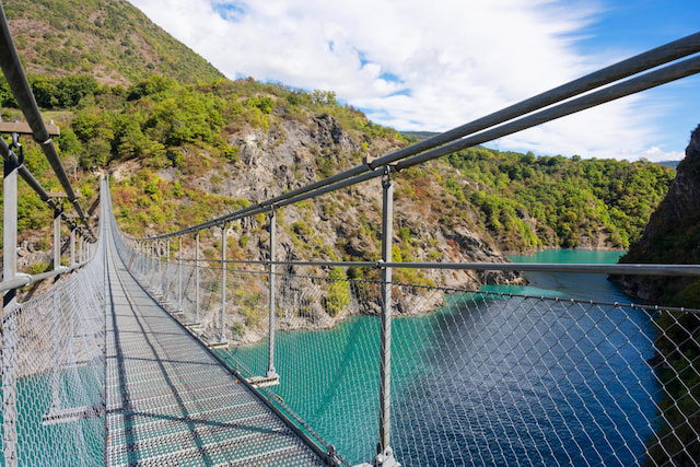 Tsitsikamma National Park with Suspension Bridge Walk
