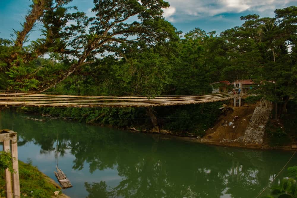 Walk across the Bamboo Hanging Bridge in Bohol in Philippines