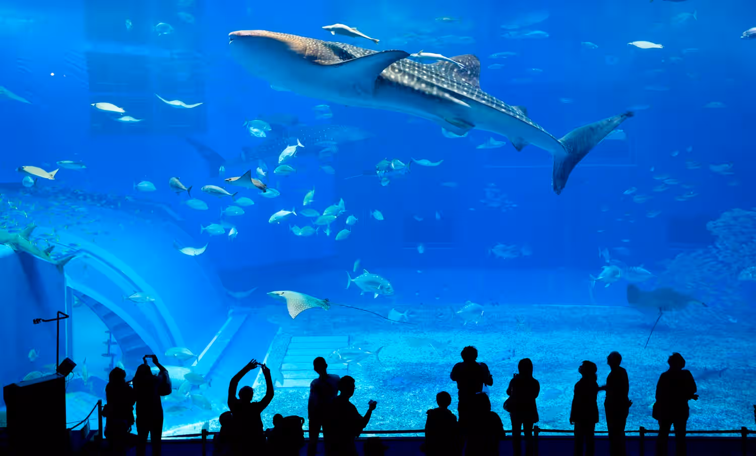 Aquaria KLCC in Singapore - Malaysia