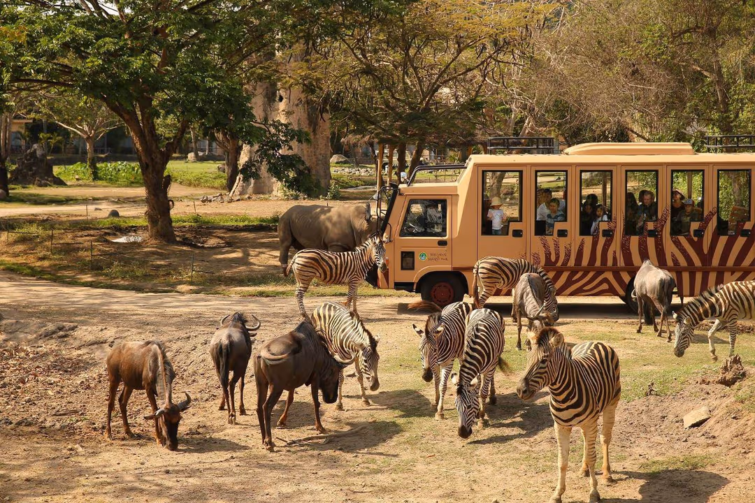 Bali Safari