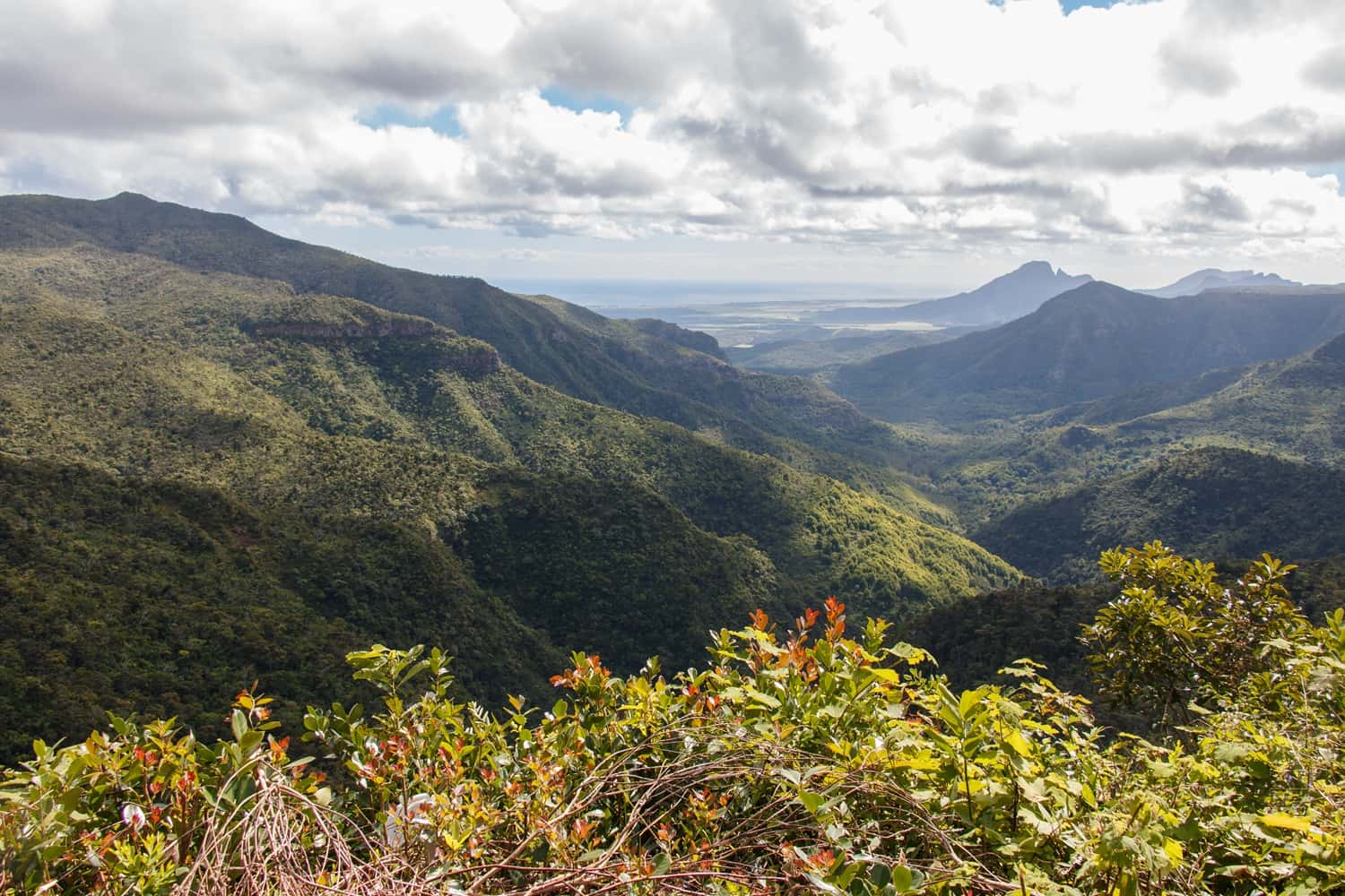 Black River Gorges National Park in All of Africa
