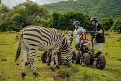 Try Casela Natural Park Segway tour in All of Africa