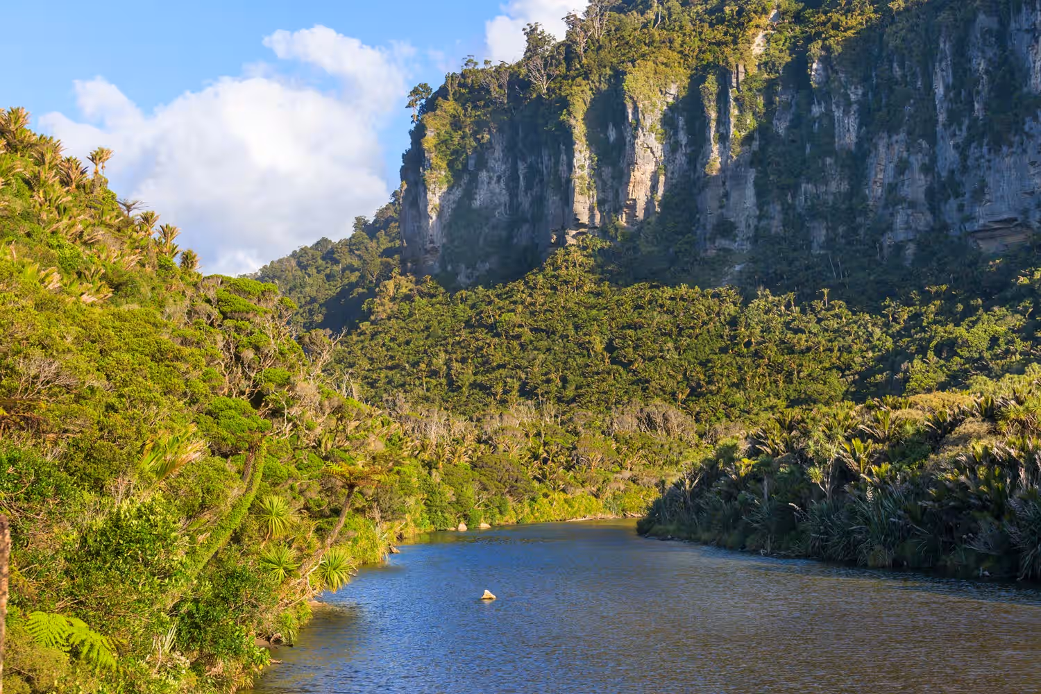 Chiapa de Corzo and Sumidero Canyon in Mexico
