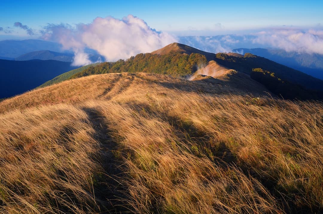 Climb The Tallest Mountain In The Philippines - Mt. Apo