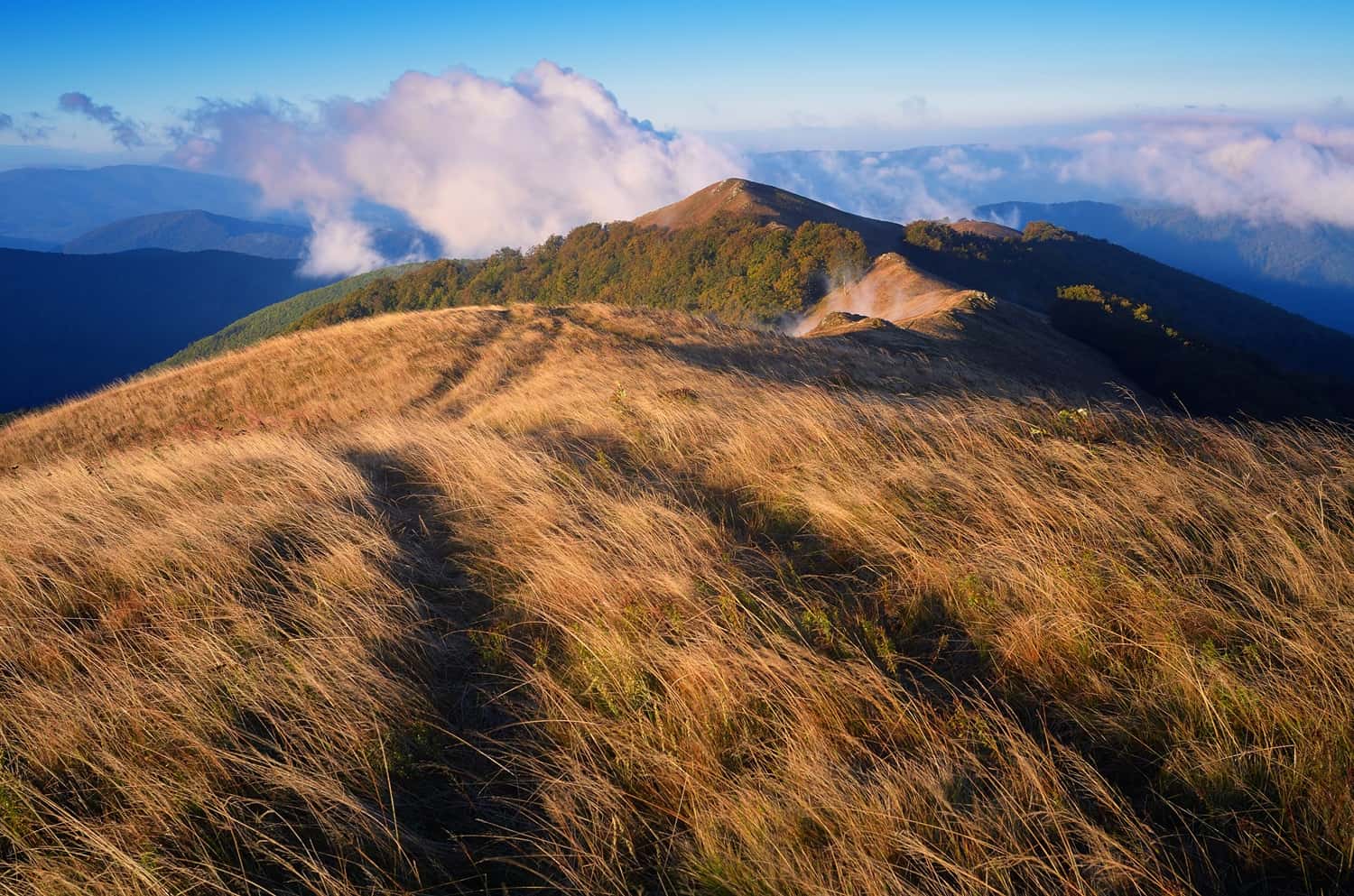 Climb The Tallest Mountain In The Philippines - Mt. Apo in Philippines