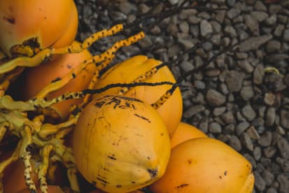 Refresh Yourself with an Orange Coconut