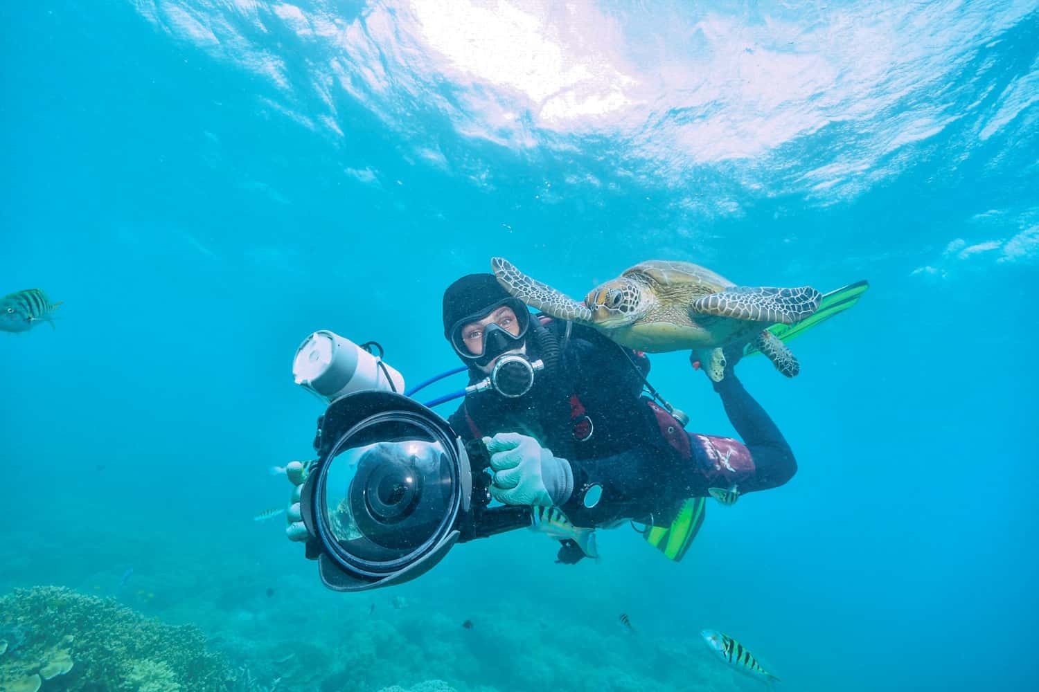 Experience Water Sports like Scuba Diving, Snorkeling and Surfing in Sri Lanka
