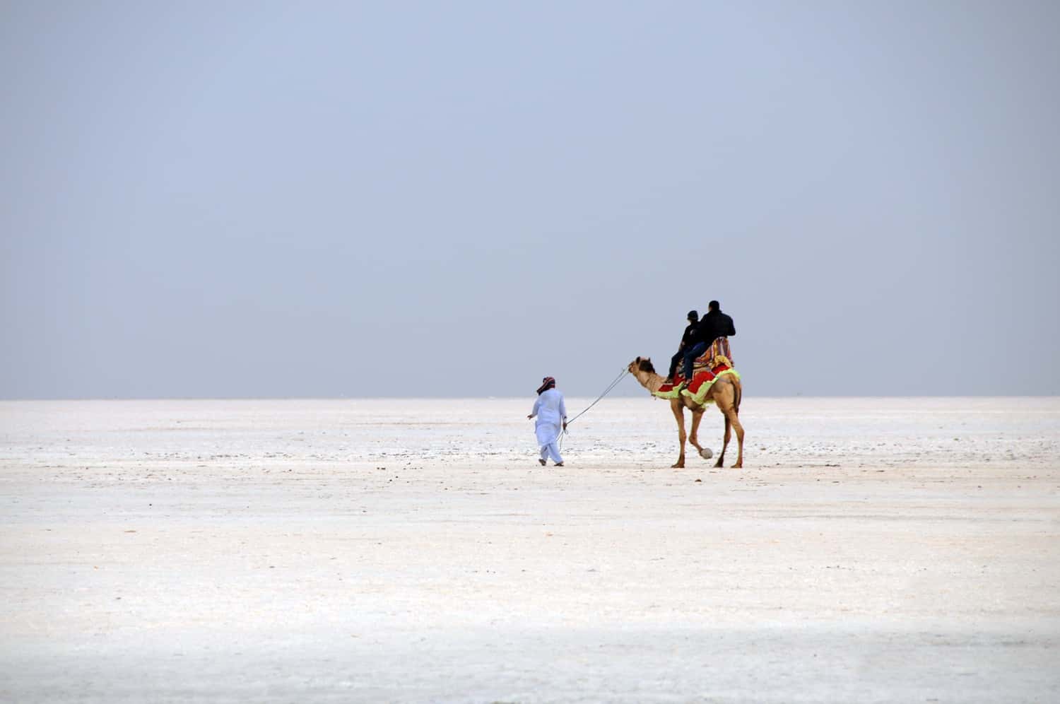 Explore Rann of Kutch in Gujarat