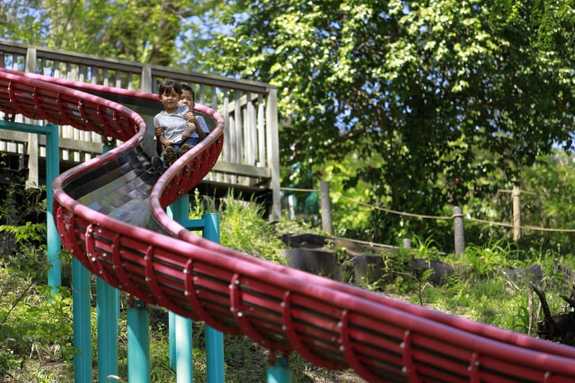 Full Day A Famosa Theme Park Experience
