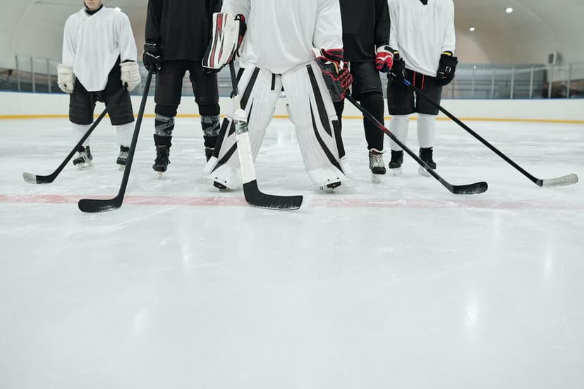 Get Up Close To An Ice Hockey Team