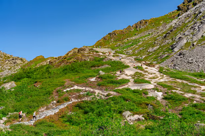 Go for Trek to Dainkund Peak