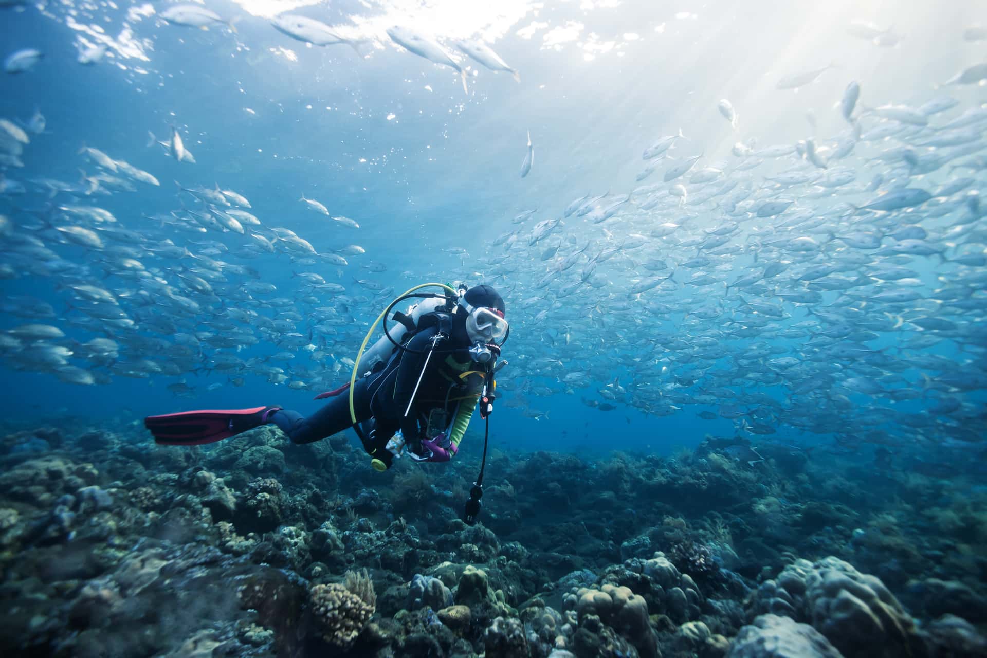 Go Snorkelling And Scuba Diving in Croatia