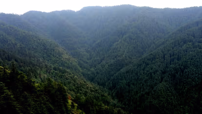 Kufri Valley