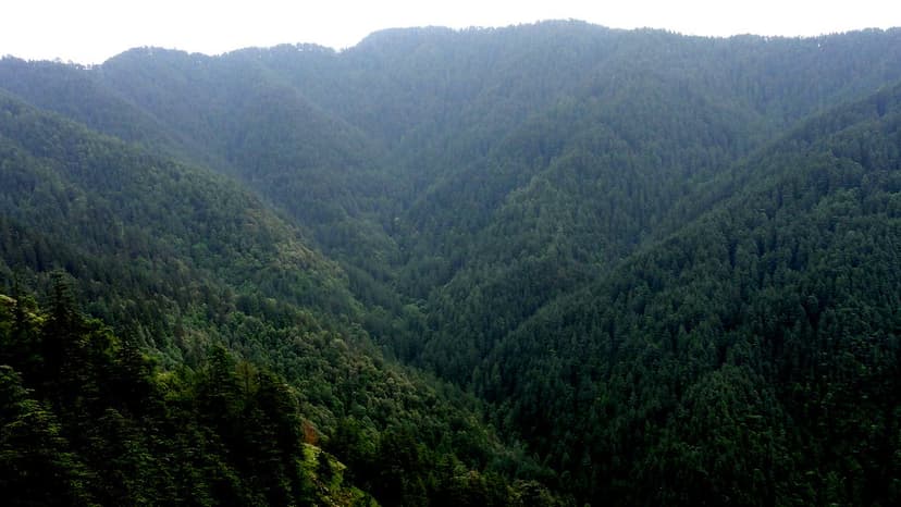Kufri Valley