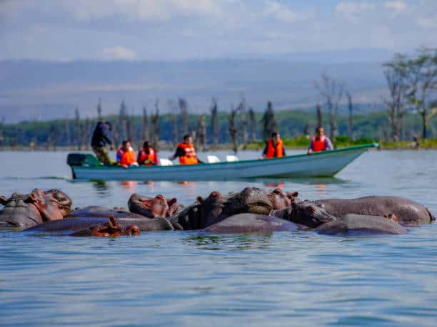 Go Boating at Lake Naivasha in All of Africa