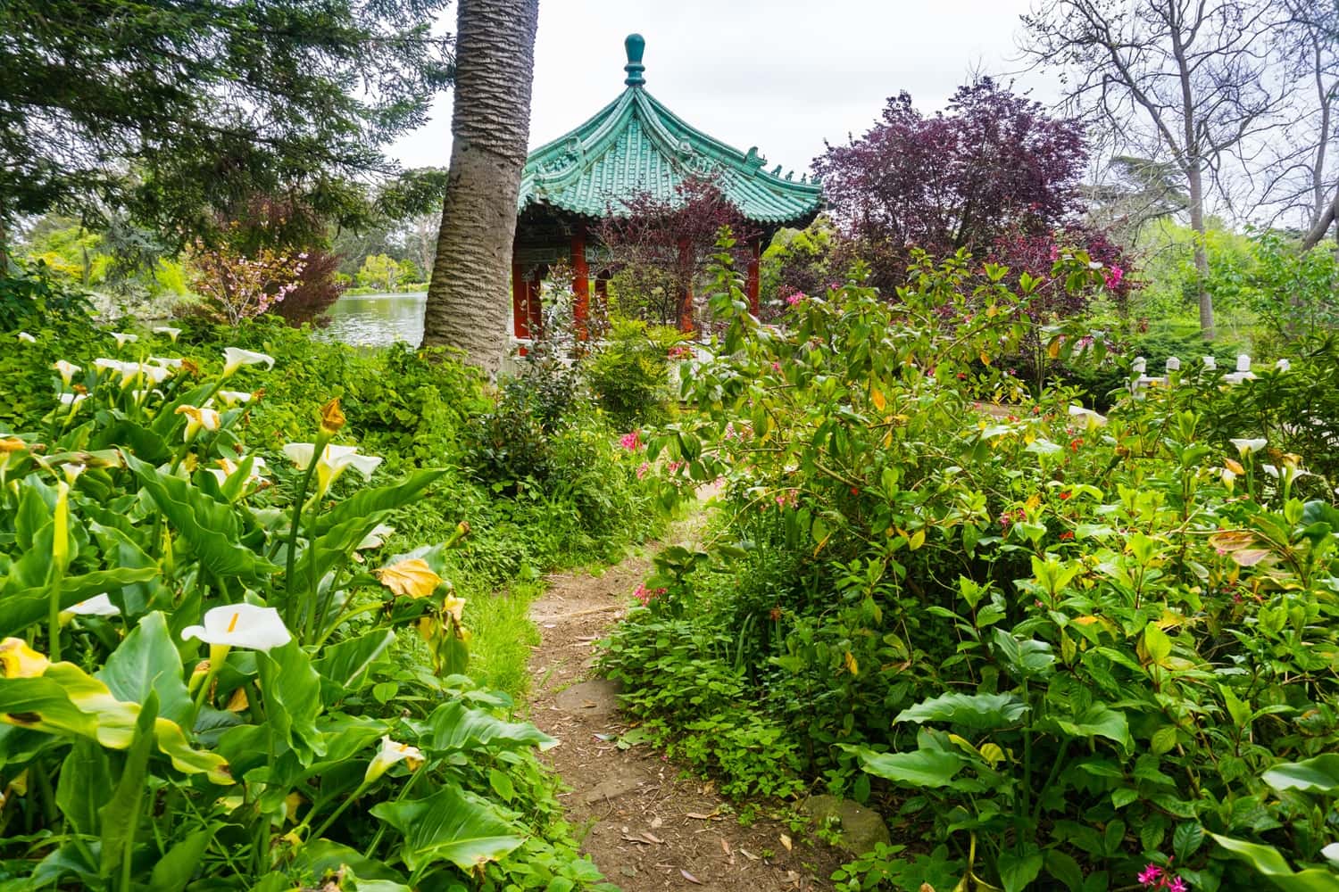 Learn About Spices At A Spice Garden in Sri Lanka