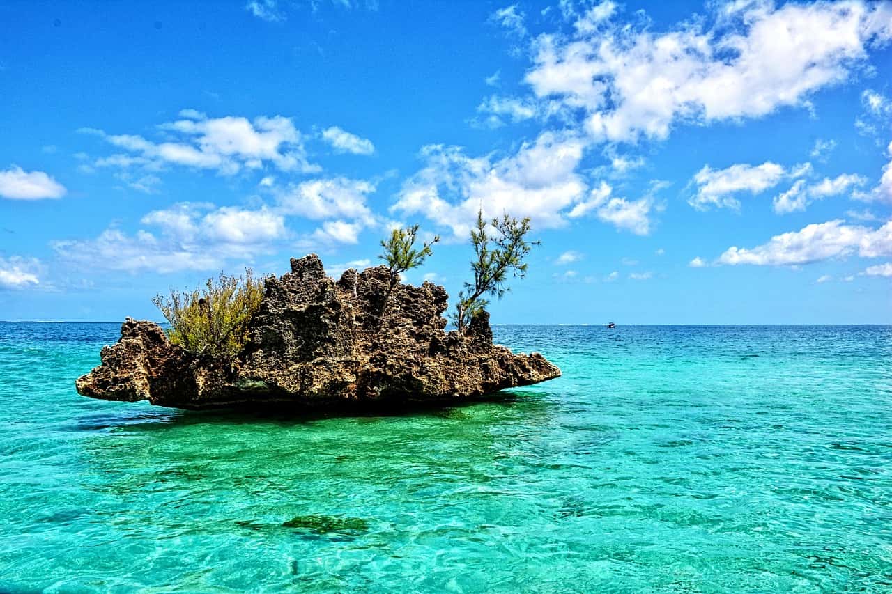 North Island in All of Africa