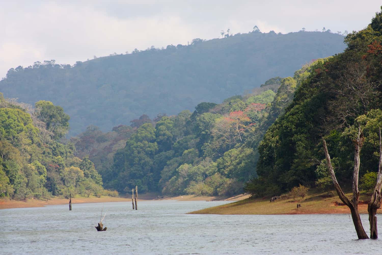 periyar lake in South India