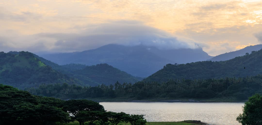 Walk Around The Tea Estates